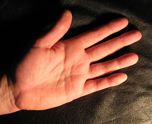 hand-palm.png